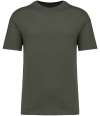 NS330 Native Spirit Unisex Oversized T-Shirt Khaki colour image